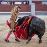 Madrid, domingo 28 de abril de 2019.