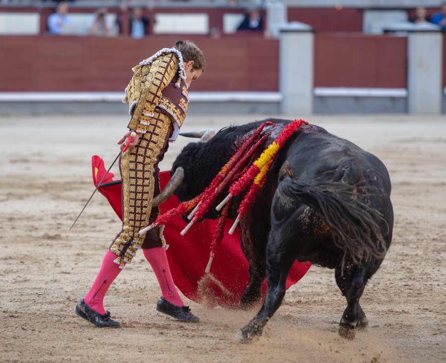 Madrid, domingo 28 de abril de 2019.