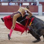 Madrid, domingo 28 de abril de 2019.