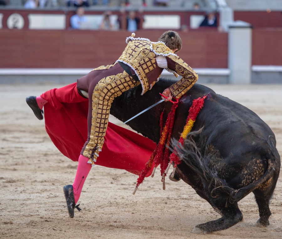 Madrid, domingo 28 de abril de 2019.