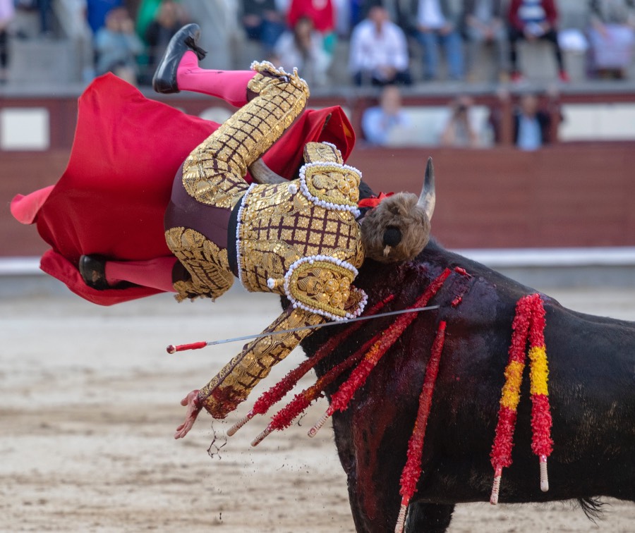 Madrid, domingo 28 de abril de 2019.