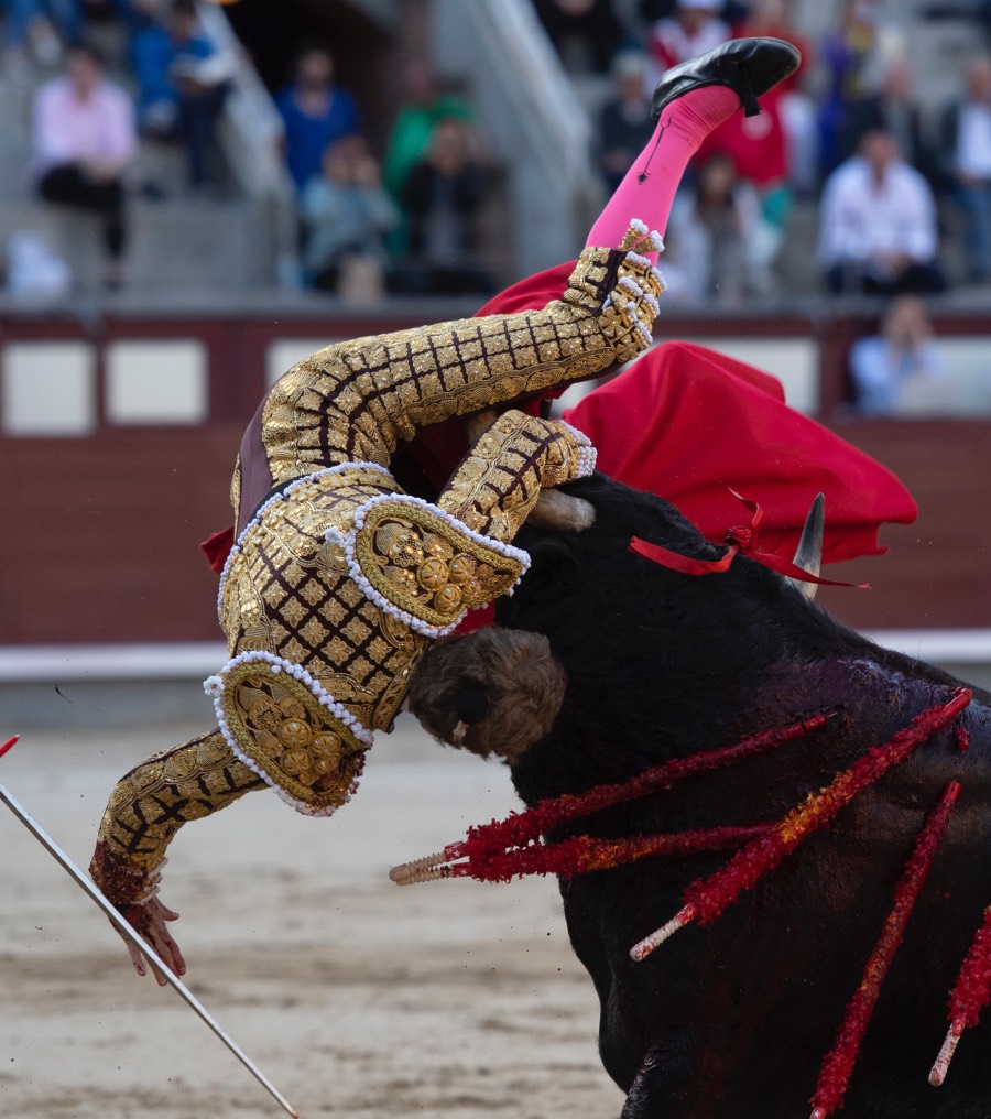 Madrid, domingo 28 de abril de 2019.