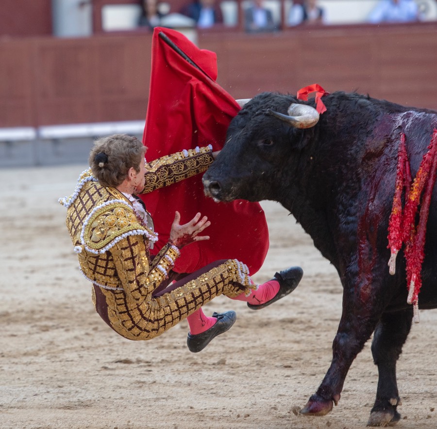 Madrid, domingo 28 de abril de 2019.