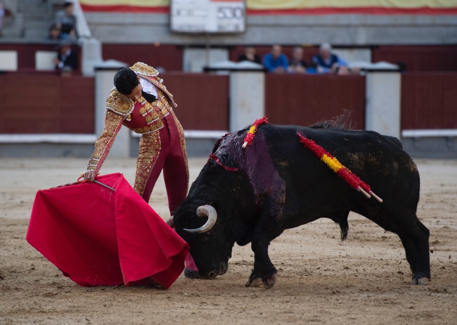 Madrid, domingo 28 de abril de 2019.