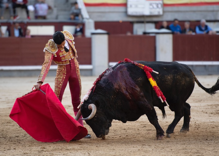 Madrid, domingo 28 de abril de 2019.