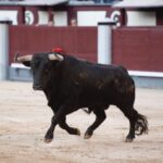 Madrid, domingo 28 de abril de 2019.