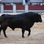 Madrid, domingo 28 de abril de 2019.