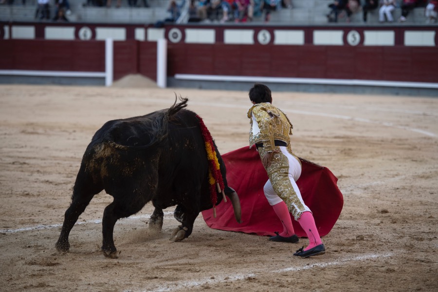 Madrid, domingo 28 de abril de 2019.