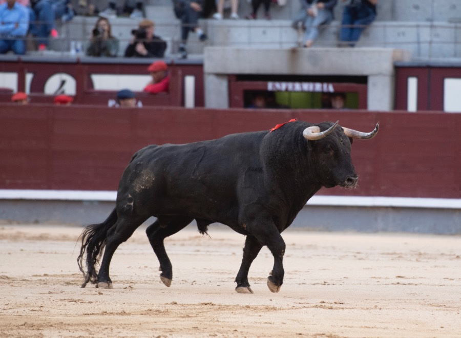 Madrid, domingo 28 de abril de 2019.