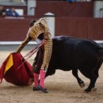 Madrid, domingo 28 de abril de 2019.