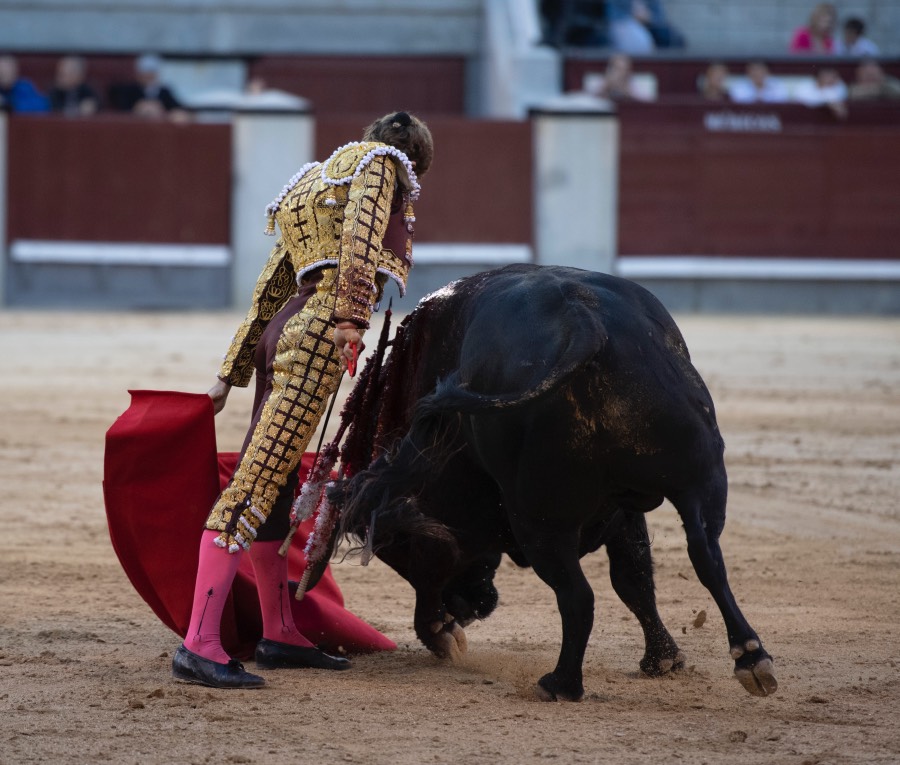 Madrid, domingo 28 de abril de 2019.