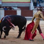 Madrid, domingo 28 de abril de 2019.