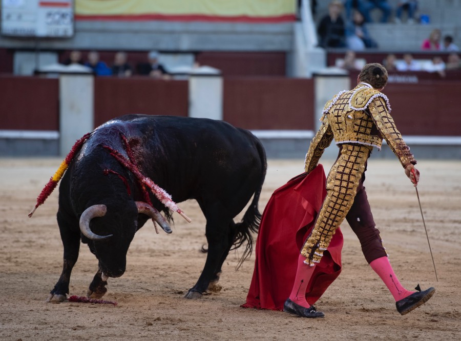 Madrid, domingo 28 de abril de 2019.
