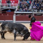 Madrid, domingo 21 de abril de 2019