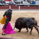 Madrid, domingo 21 de abril de 2019