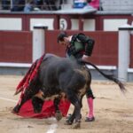 Madrid, domingo 21 de abril de 2019