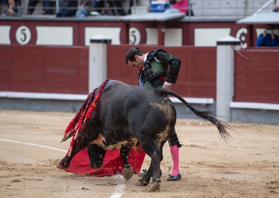 Madrid, domingo 21 de abril de 2019