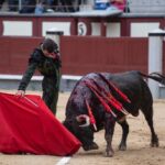 Madrid, domingo 21 de abril de 2019