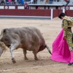 Madrid, domingo 21 de abril de 2019