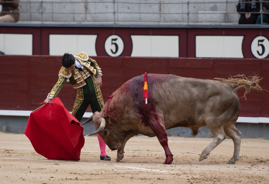Madrid, domingo 21 de abril de 2019