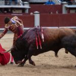 Madrid, domingo 21 de abril de 2019