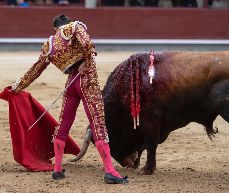 Madrid, domingo 21 de abril de 2019