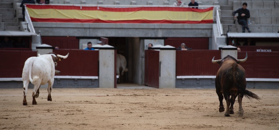 Madrid, domingo 21 de abril de 2019