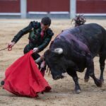 Madrid, domingo 21 de abril de 2019