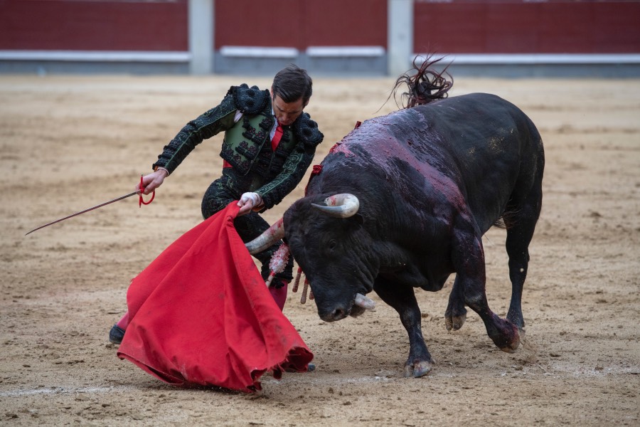 Madrid, domingo 21 de abril de 2019
