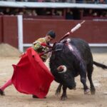 Madrid, domingo 21 de abril de 2019