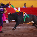 Aguascalientes, sábado 20 de abril de 2019