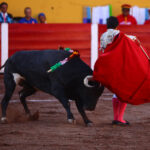 Aguascalientes, sábado 20 de abril de 2019