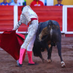 Aguascalientes, sábado 20 de abril de 2019