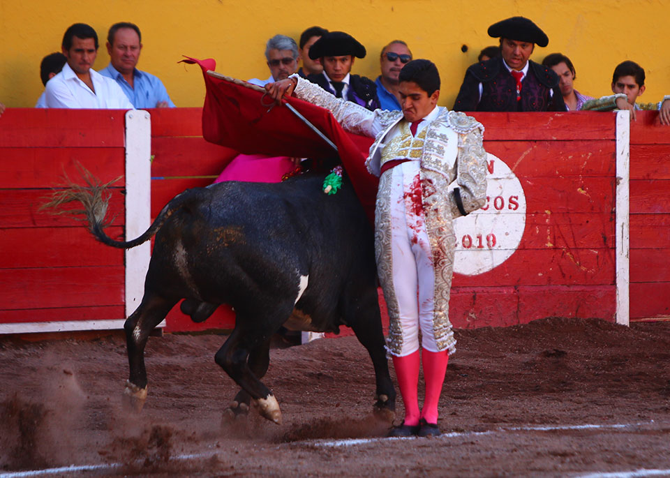 Aguascalientes, sábado 20 de abril de 2019
