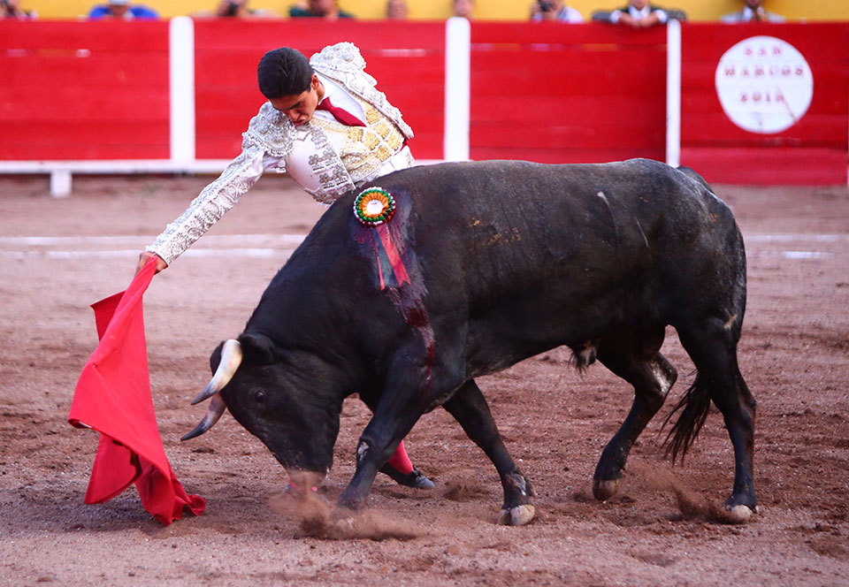 Aguascalientes, sábado 20 de abril de 2019