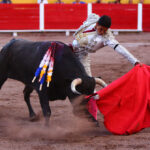 Aguascalientes, sábado 20 de abril de 2019