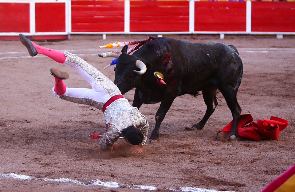 Aguascalientes, sábado 20 de abril de 2019