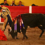 Aguascalientes, sábado 20 de abril de 2019