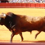 Sevilla, domingo 28 de abril de 2019