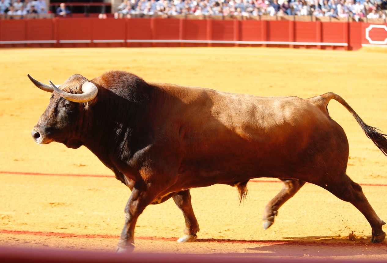 Sevilla, domingo 28 de abril de 2019