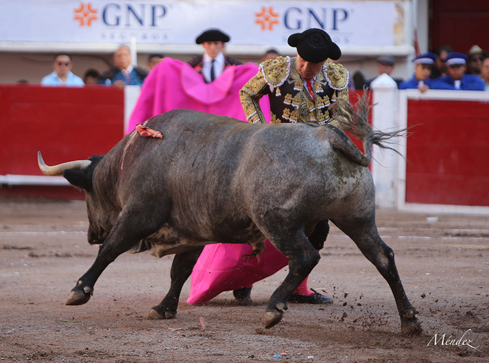 Aguascalientes, sábado 27 de abril de 2019