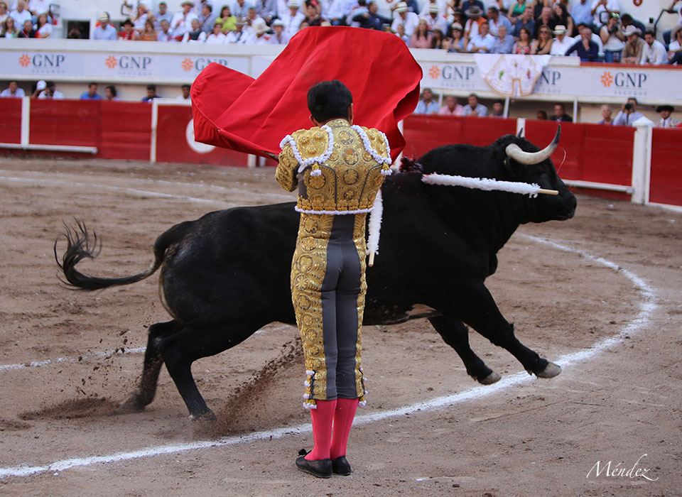 Aguascalientes, sábado 27 de abril de 2019