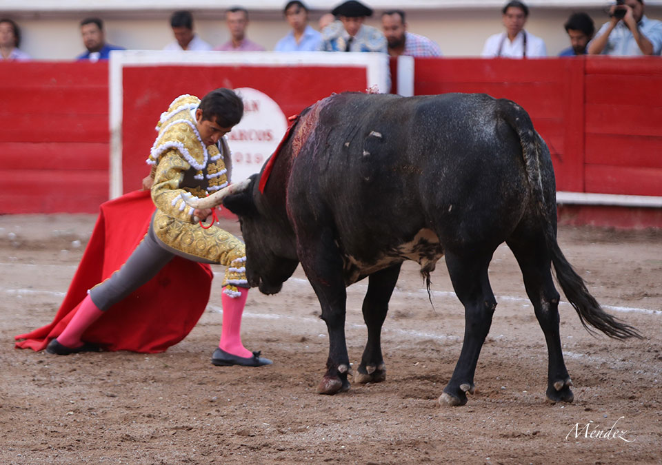 Aguascalientes, sábado 27 de abril de 2019