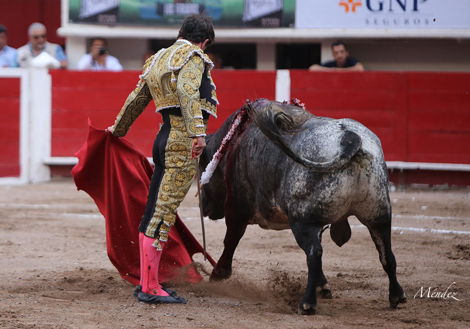 Aguascalientes, sábado 27 de abril de 2019