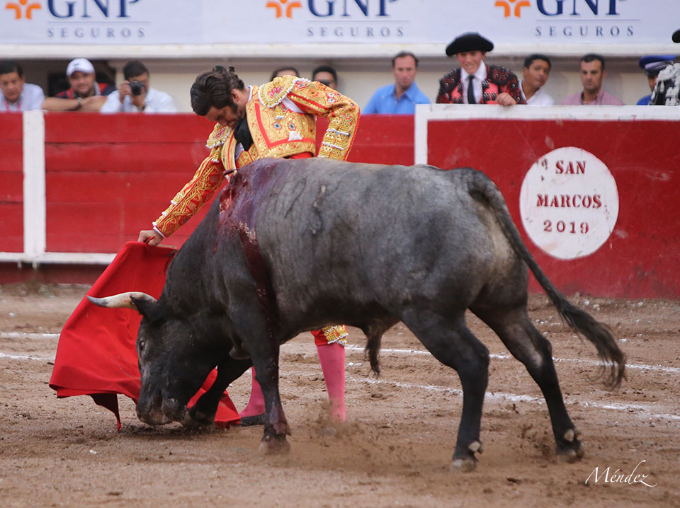 Aguascalientes, sábado 27 de abril de 2019