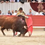 Arles, sábado 20 de abril de 2019