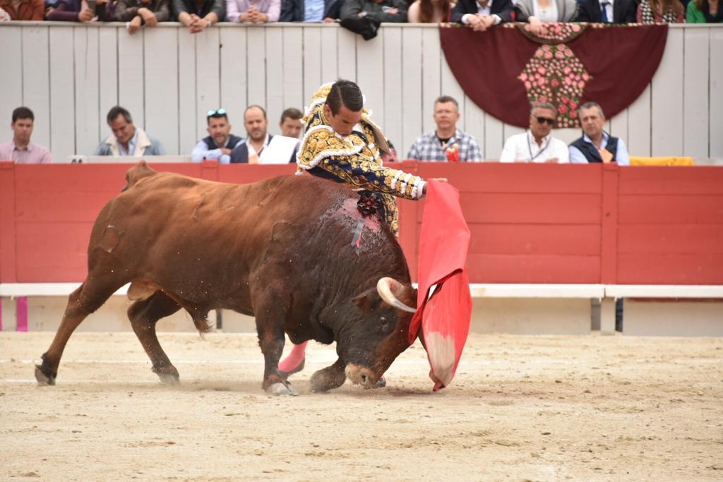 Arles, sábado 20 de abril de 2019