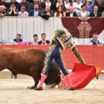 Arles, sábado 20 de abril de 2019