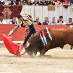 Arles, sábado 20 de abril de 2019