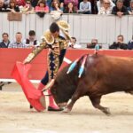 Arles, sábado 20 de abril de 2019